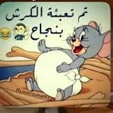 تم تعبئة الكرش بنجاح