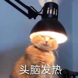 知性女声