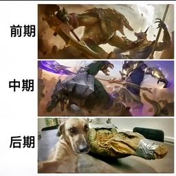 xxxx总