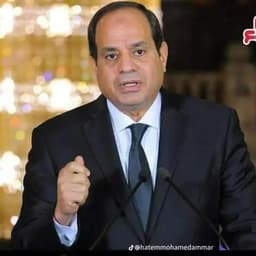 عبدالفتاح السيسي 