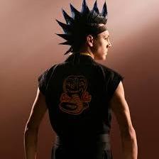Hawk Cobra Kai