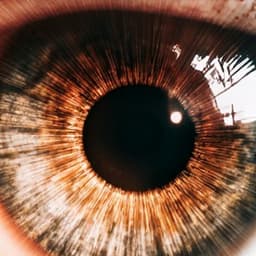 NArração Vídeos Lula