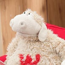 Wooly from WoolWorths (2003-2008)