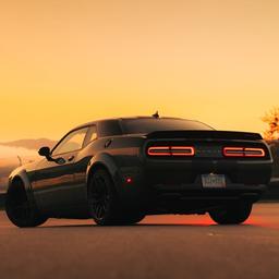 PORTEKİZCE ADAM SESİ