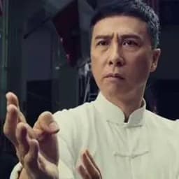 238925叶问的声音