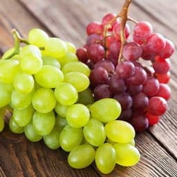 好茶馆12.18-12.20