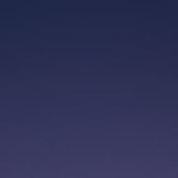 احمد الوائلي