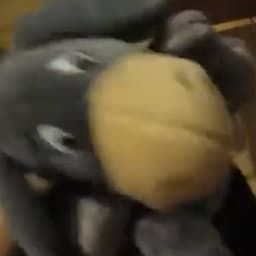 Burro. From Themariodimension