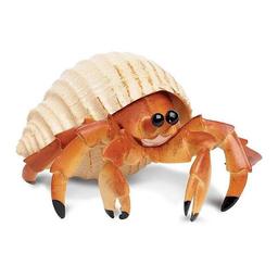 LA CONCHA