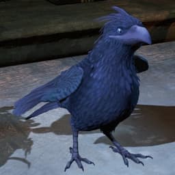 Crow (Dreamfall)