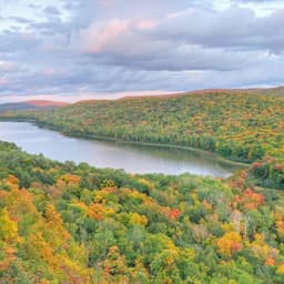 Alma Valeria Avilés 