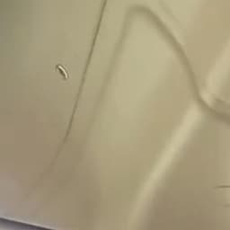 和小孩哥比赛 小孩爸爸