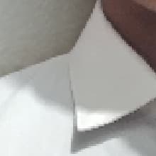 segunda voz de gustavo