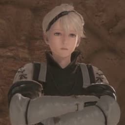 Nier (Young)