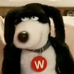 Worth from Woolworths (2003-2008)