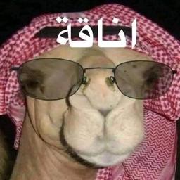 اسامه 