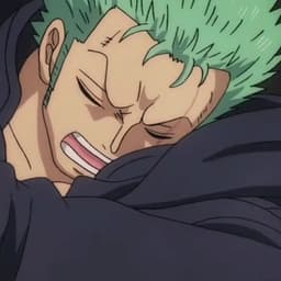 First Zoro English voice