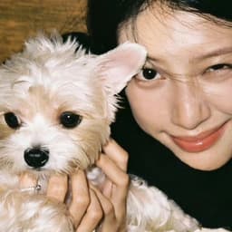 老奶奶（育儿）