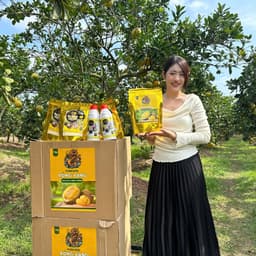 giới thiệu sản phẩm phân bón rồng vàng