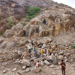 الاخبار