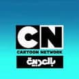 مذيع فواصل التالي كرتون نتورك بالعربية 