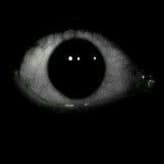 Terror analógico voz