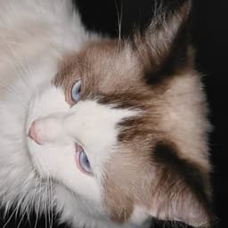 没想到第一次见到雪