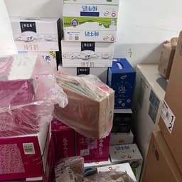 弃猫效应女教授