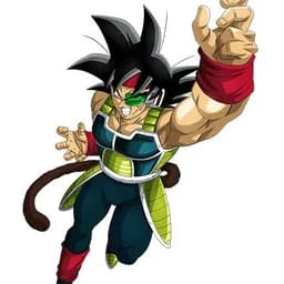 bardock 