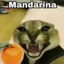 HoLa