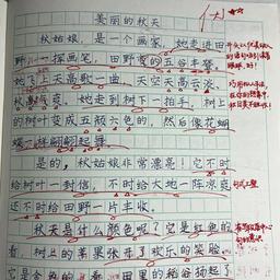 8.20学霸张初一
