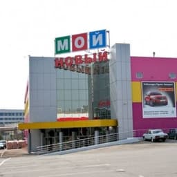 Большой сильный стингер флин