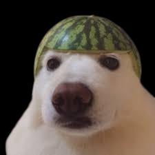 gaurd