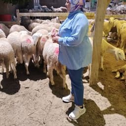 نسيت وتعبانة 