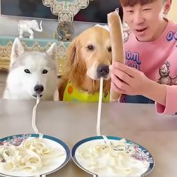 بسبوسه 