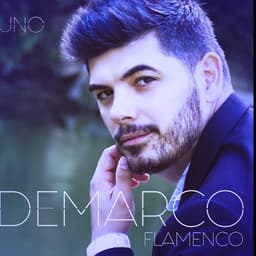 Demarco Flemenco