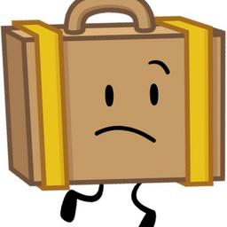Suitcase 