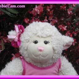 LambieCam/LambCam (Build-A-Bear YouTuber)