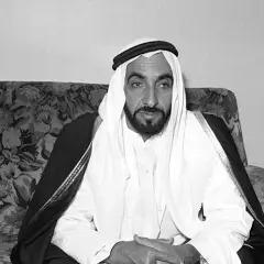 الشيخ زايد بن سلطان آل نهيان 