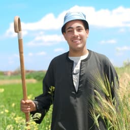 محمد ابراهيم 