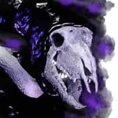 A01 (pillar chase 2)