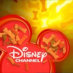 Disney Channel UK Next/Now Announcer (2003)