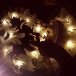 AI数字人马来7.20.2