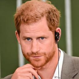 Harry yến tạo