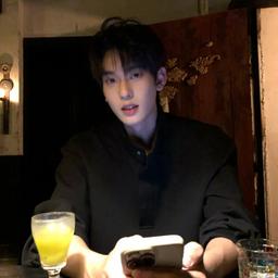 Voice Yanggengjun