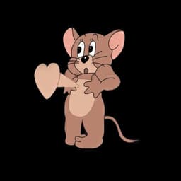 سيت رڨد كان لصق 