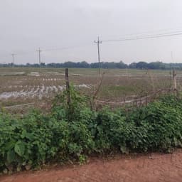 Napoleon Hill - 4 minutes sample