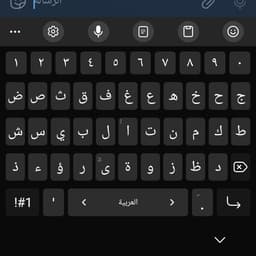 محمد صلاح عربي