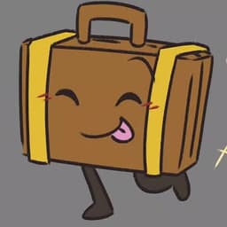 (II) Suitcase (Jessica DiCicco)