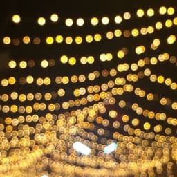 السيد حسنين